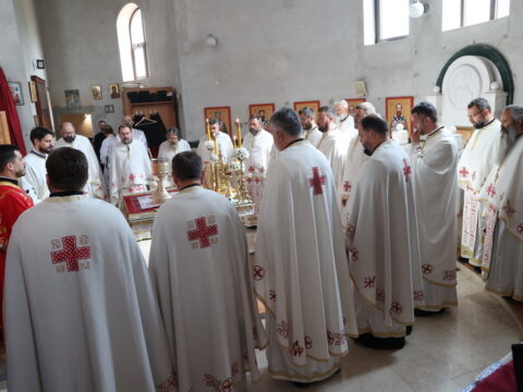 O43A5193_resize