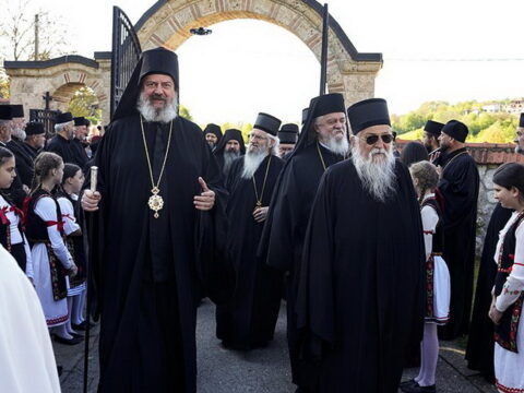 img-1069387_resize