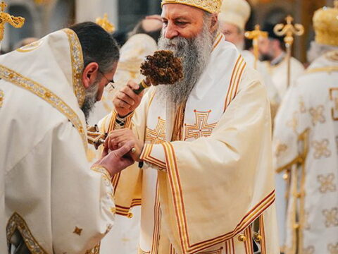 img-1230057_resize