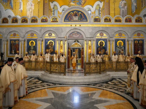 img-1557473_resize
