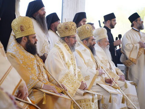 img-2250750_resize