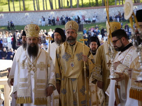 img-2919739_resize