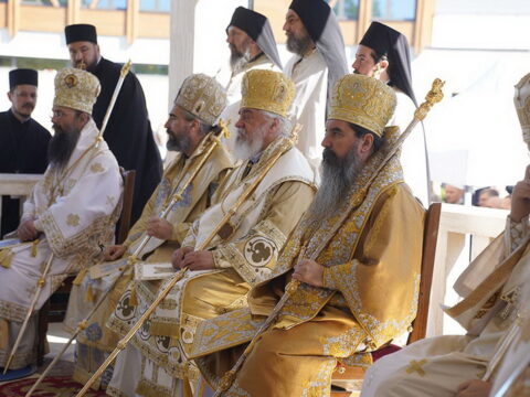 img-4379069_resize