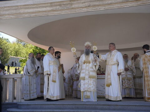 img-4735546_resize