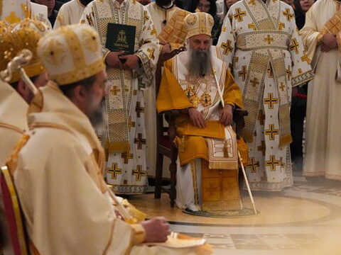 img-5561468_resize