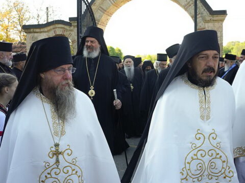 img-5978699_resize