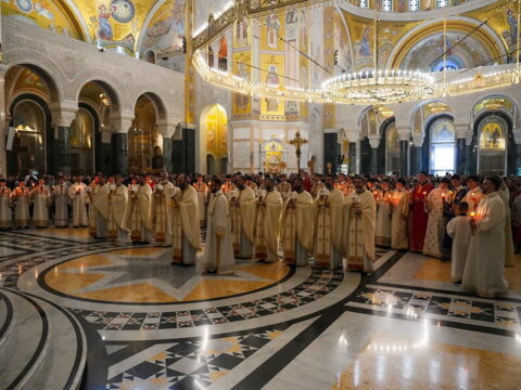 img-6018715_resize
