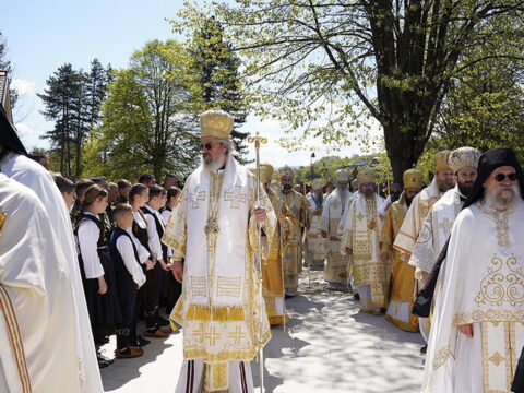 img-6213680_resize