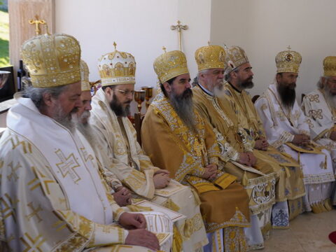 img-6502950_resize