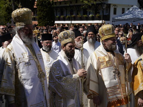 img-7373976_resize