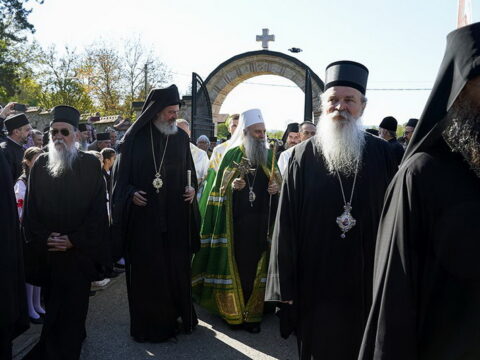 img-7430589_resize