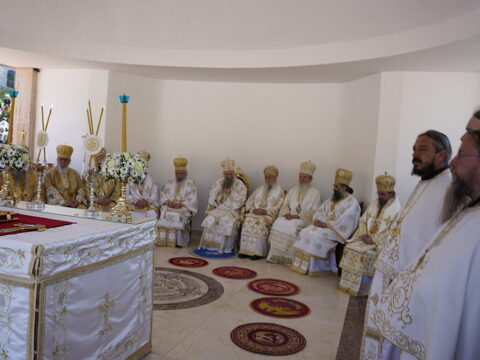 img-7664802_resize