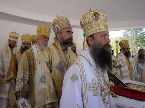 img-8353579_resize