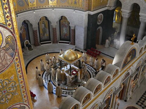 img-8493255_resize