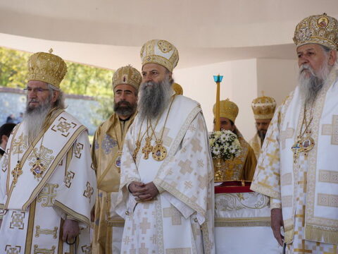 img-8527800_resize
