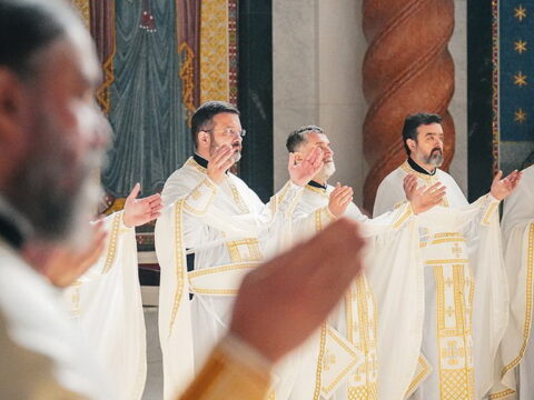 img-8844752_resize