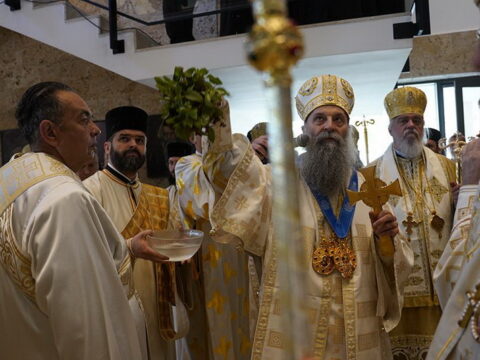 img-9496846_resize