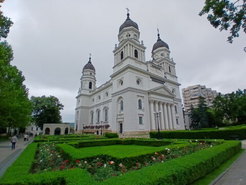 1000009123_resize