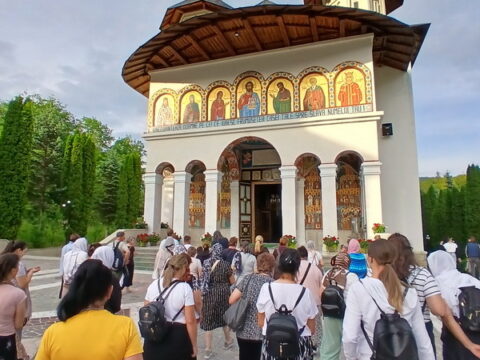 1000009169_resize