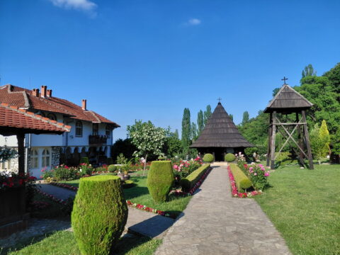 1000021501_resize