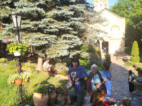 1000052701_resize