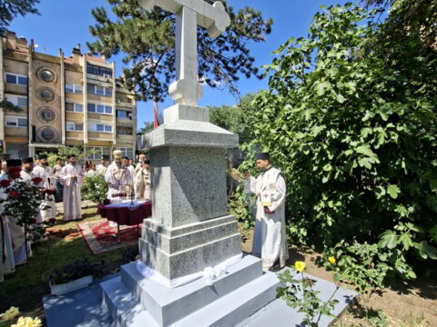 20260607_110701_resize