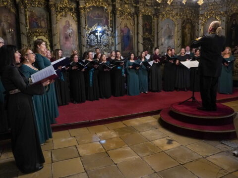 DSC08037_resize