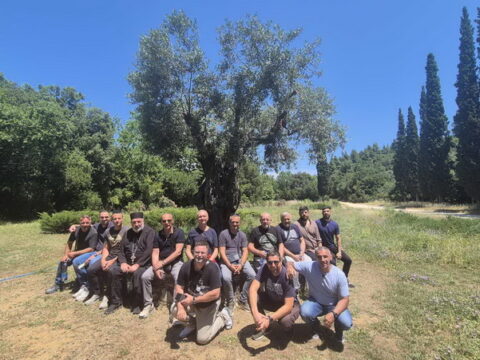 IMG-0bf044cee0f6096ac8857f38a26af110-V_resize
