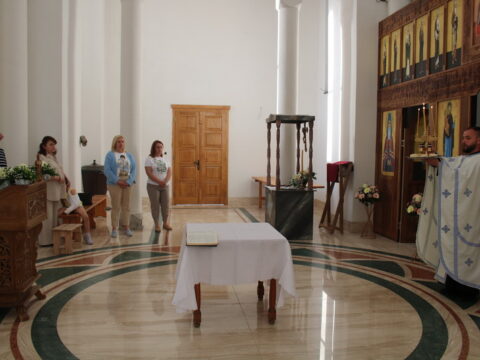IMG_8971_resize_resize