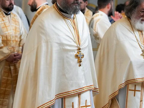 img-1871559_resize