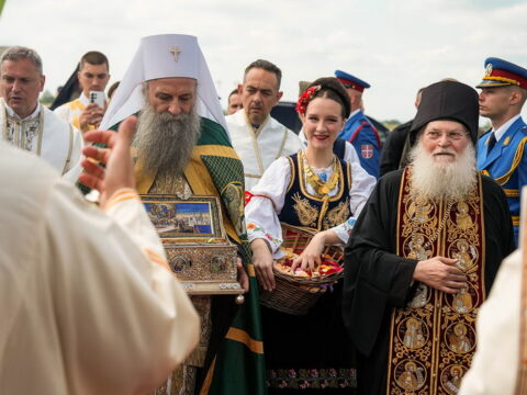 img-1873503_resize