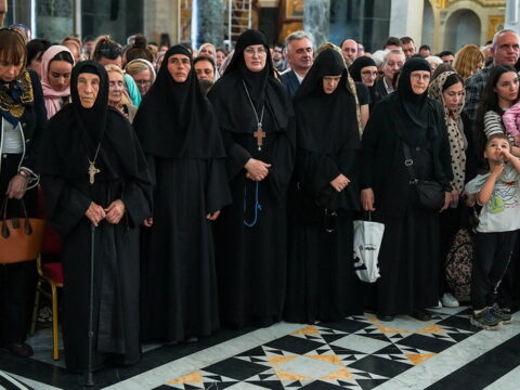 img-2133623_resize