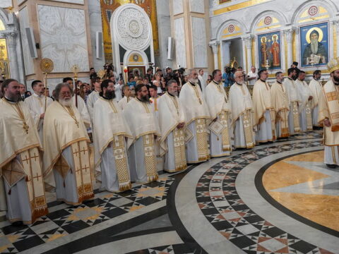 img-4902393_resize