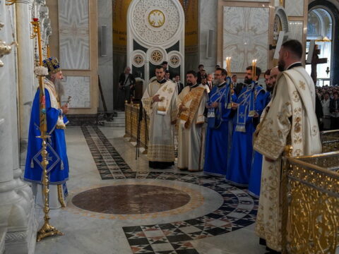 img-4938374_resize
