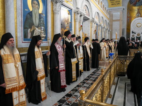 img-6926747_resize