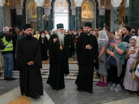 img-6930712_resize