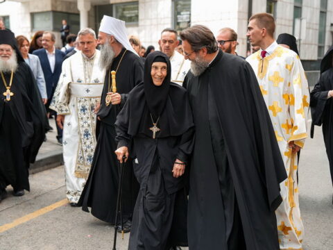 img-7318579_resize