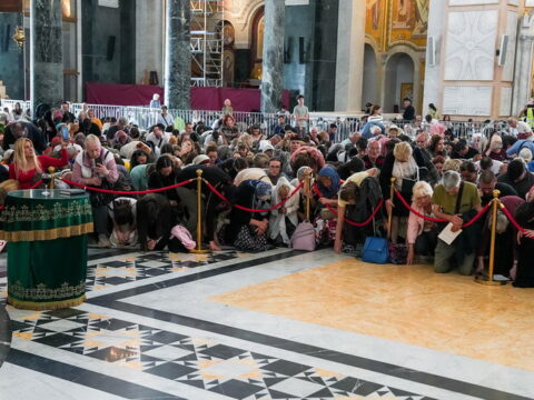 img-8533150_resize