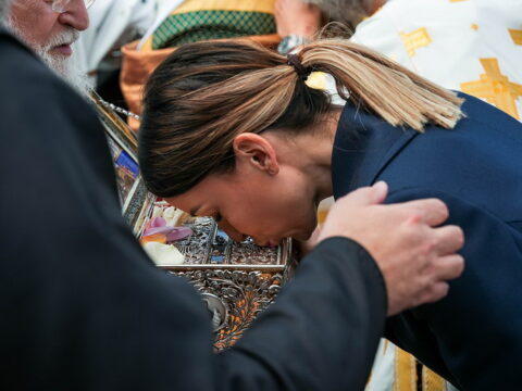 img-8811271_resize