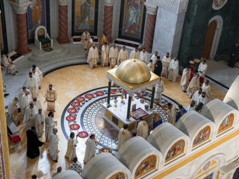 img-9507261_resize