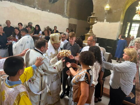 1000007233_resize
