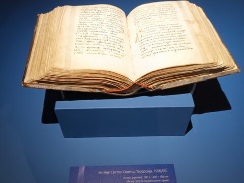 1000021234_resize