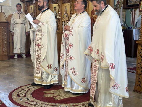 1000033670_resize