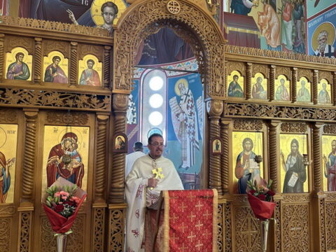 1000033682_resize