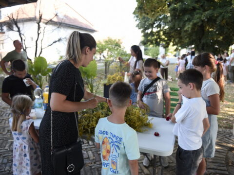 DSC0657_resize