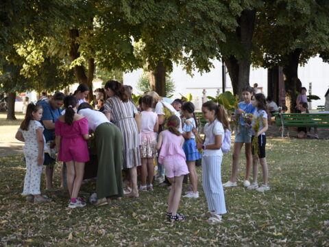 DSC0664_resize