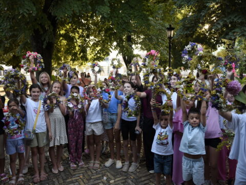 DSC0710_resize