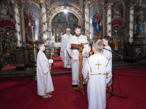 DSC08141_resize