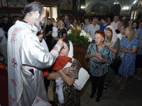 DSC08184_resize