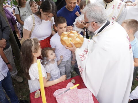 DSC08300_resize
